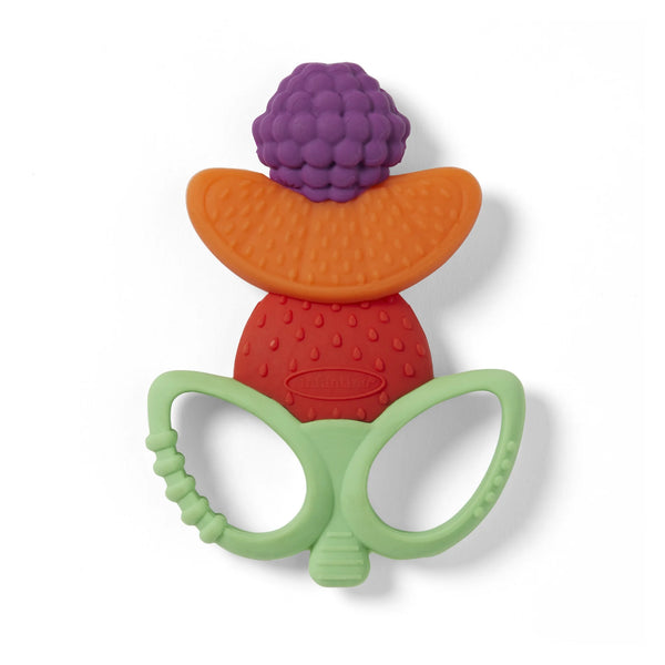 Lil' Nibbles Textured Baby Teething Toy, 6-12 Months, Multicolor Fruit Kabob